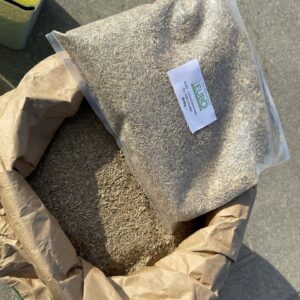 Rasensamen Roborasen