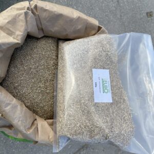 Rasensamen Spiel und Sportrasen