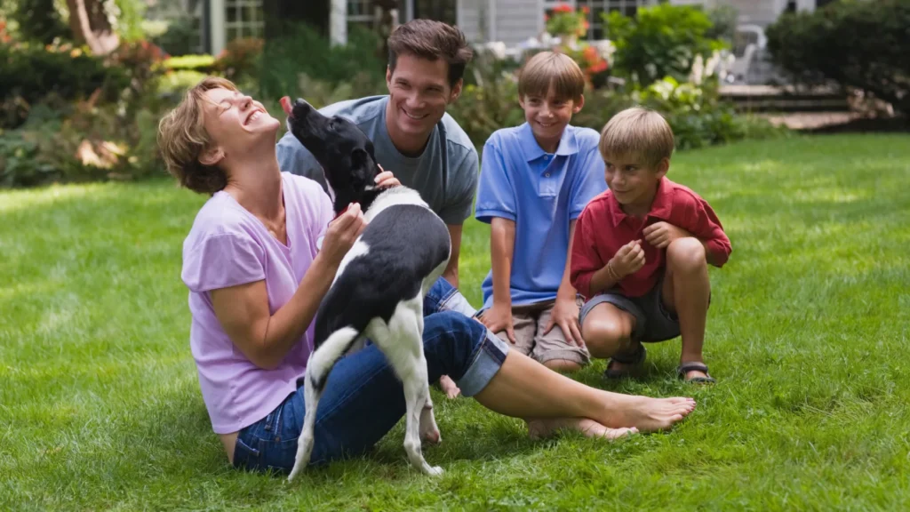 Sport & Spielrasen von EuBo Rollrasen