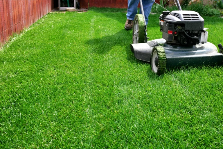 Rasenpflege im Frühjahr