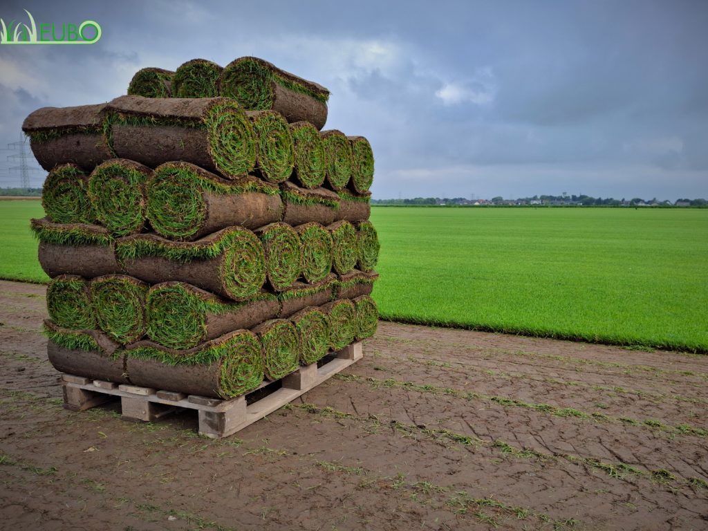 Gestapelte Rollrasen auf Palette im Feld